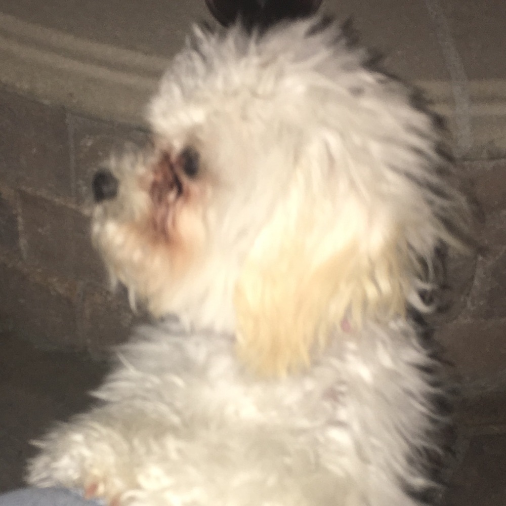 Meet your Posher, Mojgan